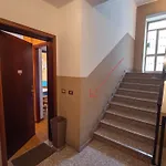 Apartment Elena